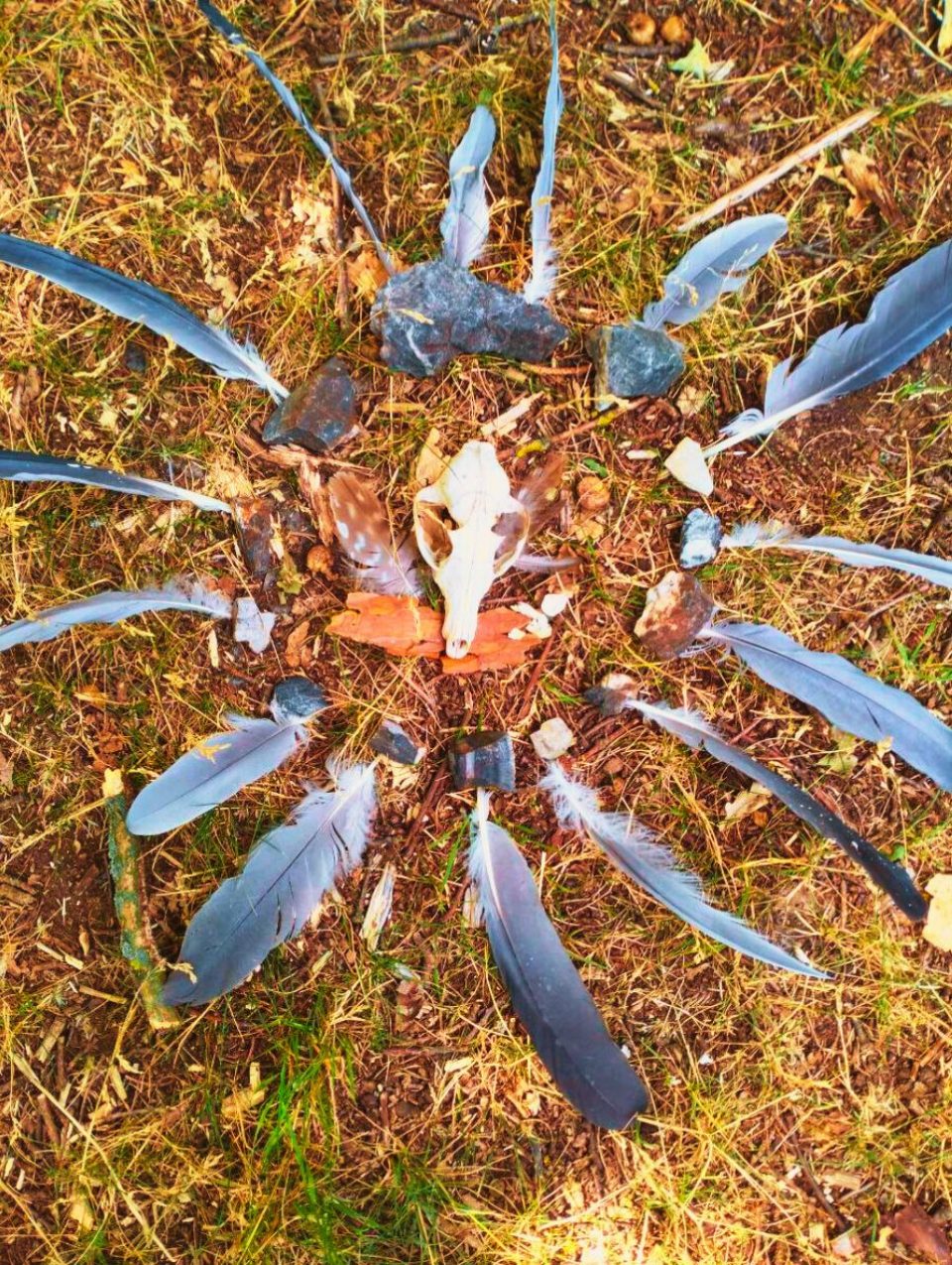 Scout training mit Daniel Attila