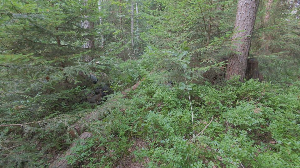 Scouts im Einklang mit ihrer Umgebung